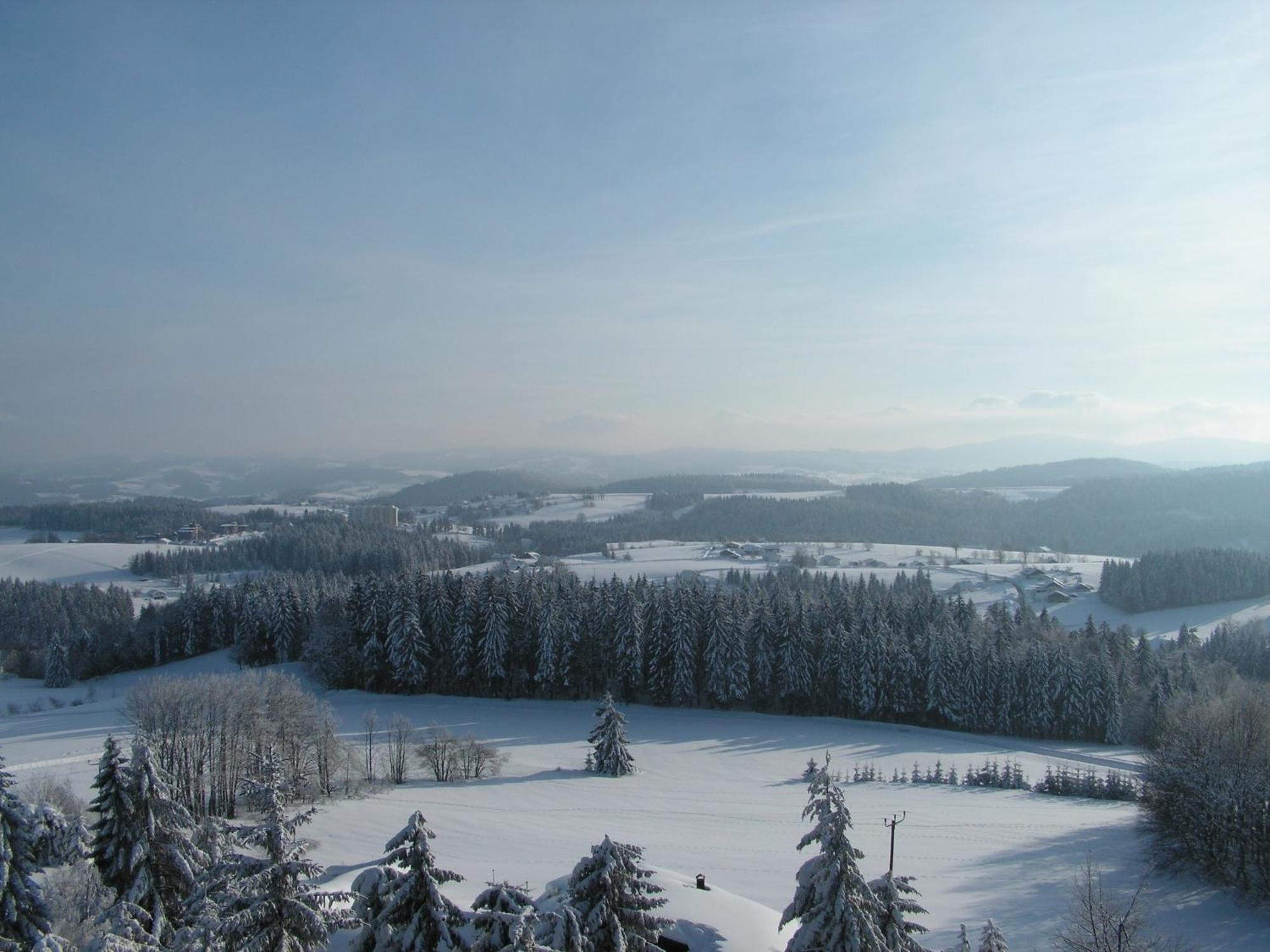 Hotel Haus Bayerwald Neureichenau Esterno foto